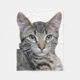 Couverture Polaire Tabby Kitten