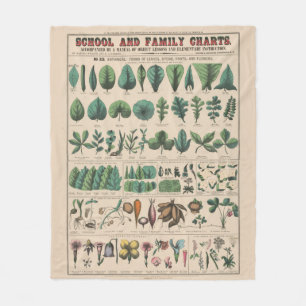 Couverture Polaire Tableau antique de l'école botanique, nature vinta