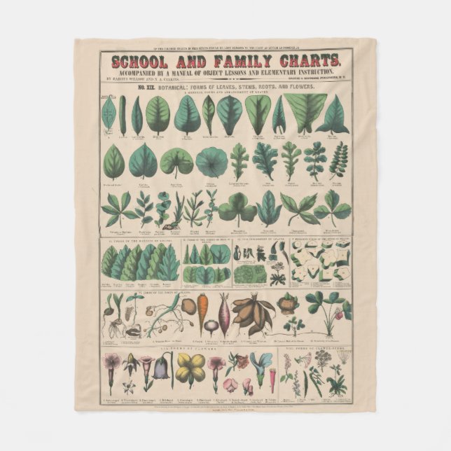 Couverture Polaire Tableau antique de l'école botanique, nature vinta (Devant)