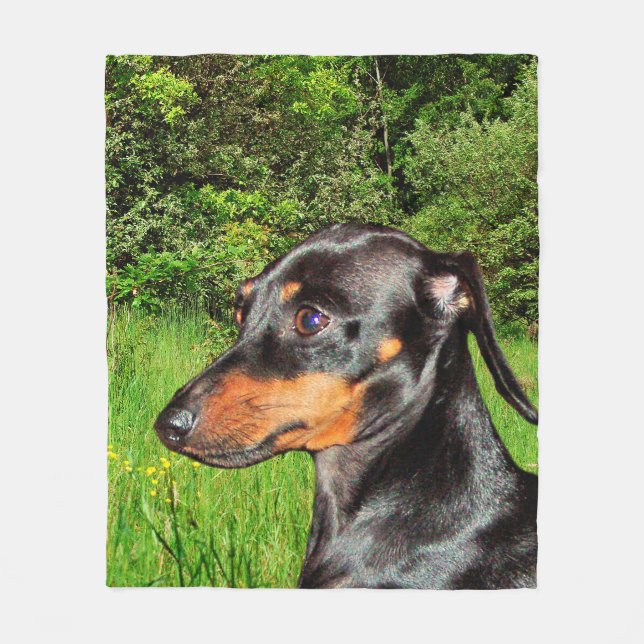 Couverture Polaire Teckel Doxie de chien (Devant)