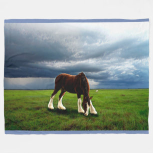 Couverture Polaire Tempête de Clydesdale