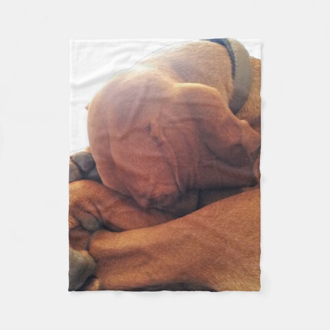 Couverture Polaire Temps de sommeil (Devant)