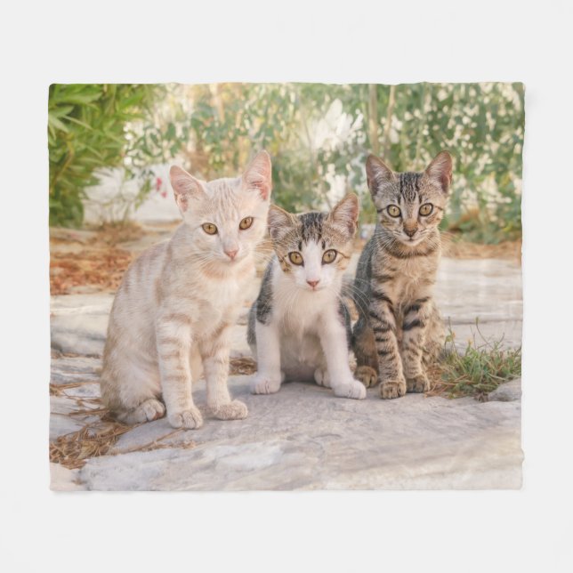 Couverture Polaire Three young cute cat kittens sit friendly together (Devant (Horizontal))