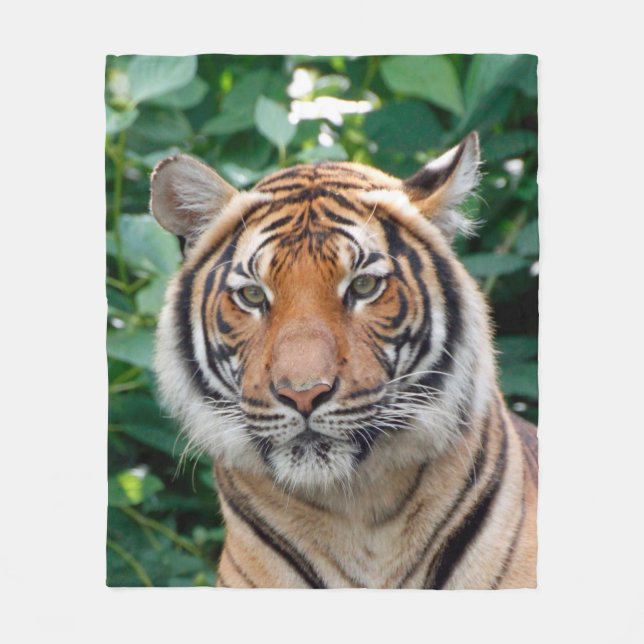 Couverture Polaire Tigre 001 (Devant)