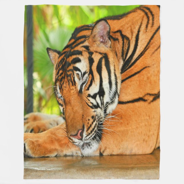 Couverture Polaire Tigre couchant (Devant)