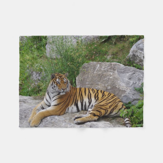 Couverture Polaire Tigre sur un rocher (Devant (Horizontal))