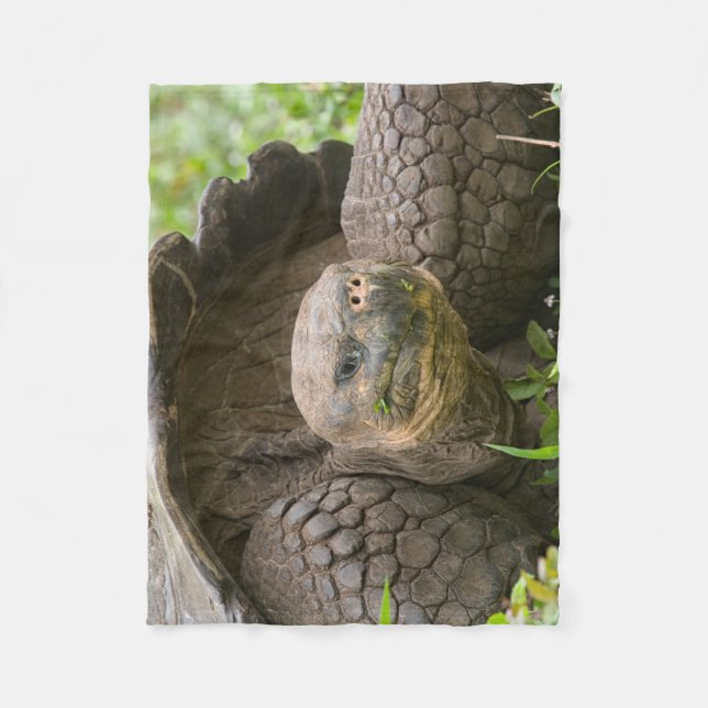 Couverture Polaire Tortue géante (Devant)