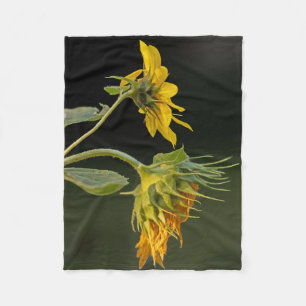 Couverture Polaire Tournesol des jeunes et de l'âge