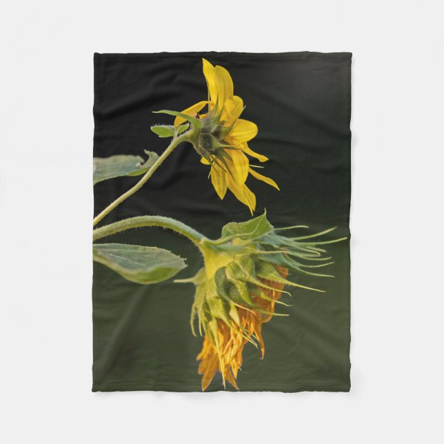 Couverture Polaire Tournesol des jeunes et de l'âge (Devant)