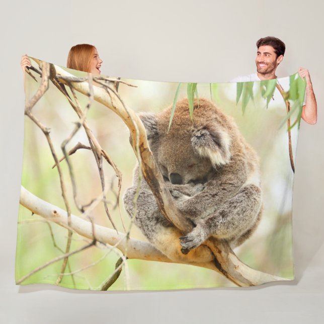 COUVERTURE POLAIRE TRANQUIL KOALA (En situation)