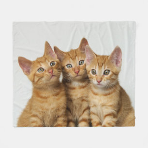 Couverture Polaire Trois chatons mignons de gingembre côte à côte,