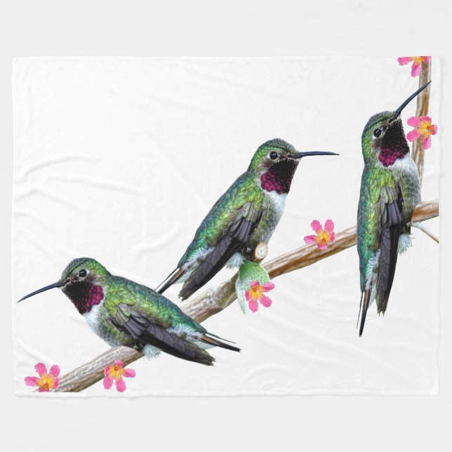 Couverture Polaire Trois colibris perchés sur une branche d'une fleur (Devant (Horizontal))