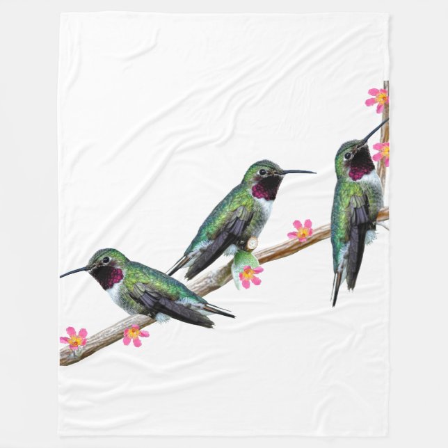Couverture Polaire Trois colibris perchés sur une branche d'une fleur (Devant)