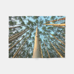 Couverture Polaire Troncs et feuilles de tremble, Yukon