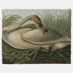 Couverture Polaire Trumpeter Swan