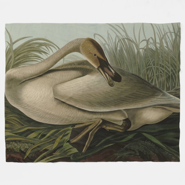 Couverture Polaire Trumpeter Swan (Devant (Horizontal))