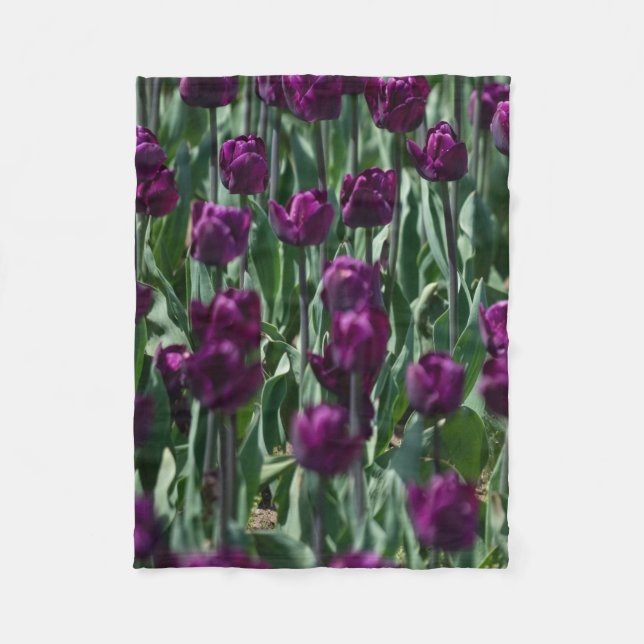 Couverture Polaire Tulipe pourpre (Devant)