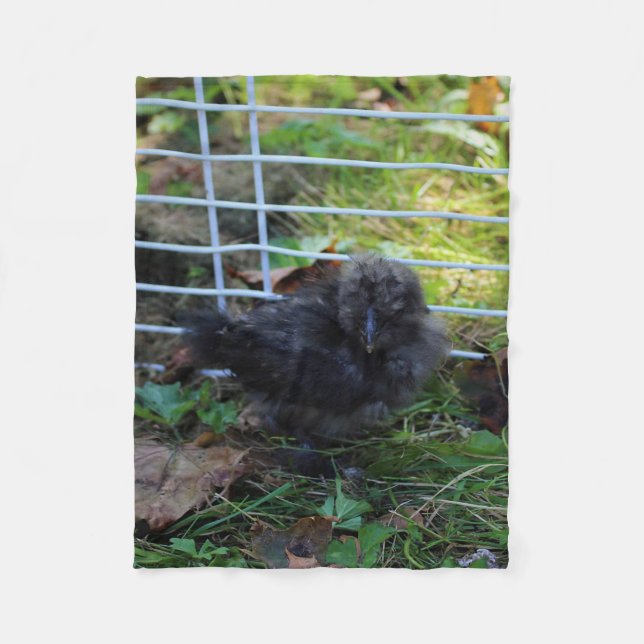 Couverture Polaire Un bébé Silkie (Devant)