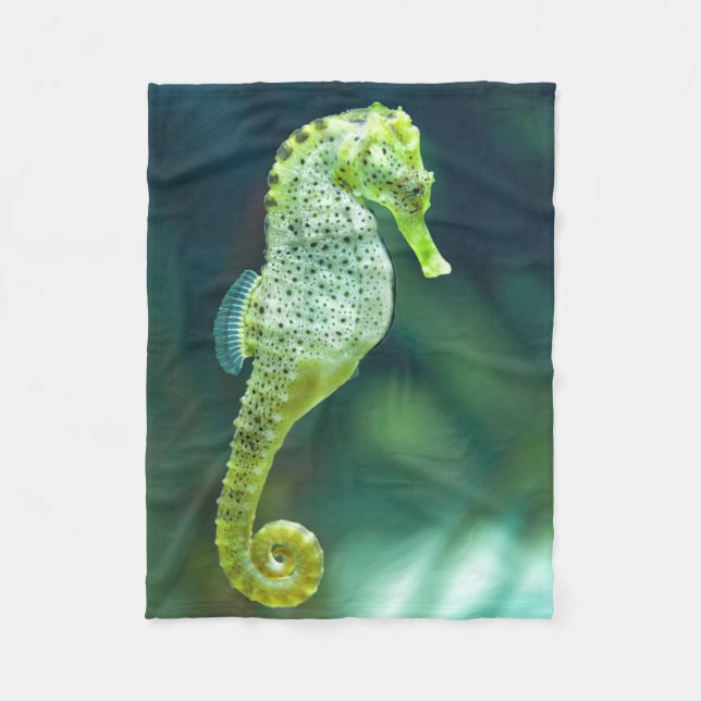 Couverture Polaire Un bel hippocampe de Knysna (Devant)