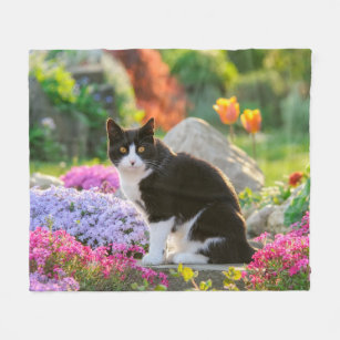 Couvertures Chaton Blanc Zazzle Fr Couvertures Chaton Blanc Zazzle Fr
