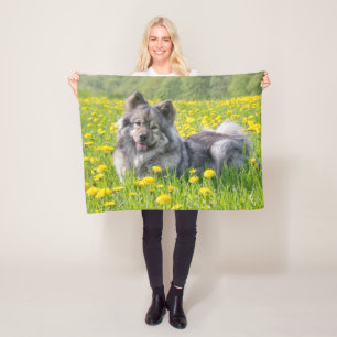 Couverture Polaire Un mignon chien Eurasier dans une prairie avec des