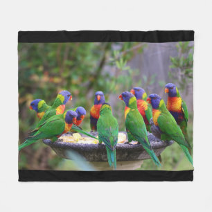 Couverture Polaire Un troupeau coloré d'oiseaux de Lorikeet arc-en-ci