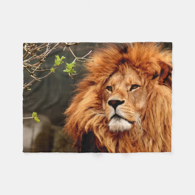 Couverture Polaire Vibrant colourful Close-up Lion picture (Devant (Horizontal))