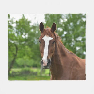 Couverture Polaire Visage de cheval avec l'inscription