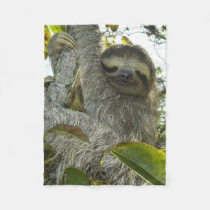 Couverture Polaire Vivre la vie comme une Sloth