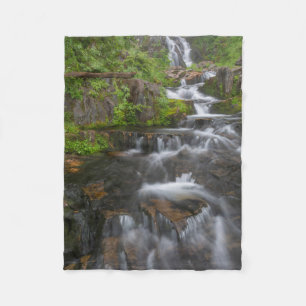 Couverture Polaire Washington, Parc national du mont Rainier 2