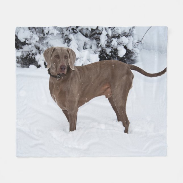 Couverture Polaire Weimaraner En Hiver (Devant (Horizontal))