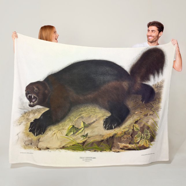 Couverture Polaire Wolverine ou Wolverene (Gulo gulo) par Audubon (En situation)