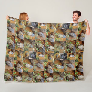 Couverture Polaire Wombat photo collage