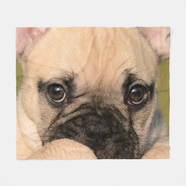 Couverture Polaire Yeux de chiot mignon de bouledogue français, (Devant (Horizontal))