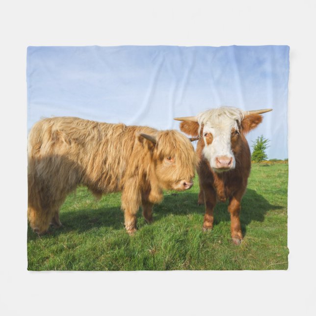 Couverture Polaire Young Highland Cows (Devant (Horizontal))