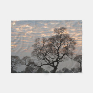 Couverture Polaire Zones humides du Pantanal Amérique du Sud, Brési