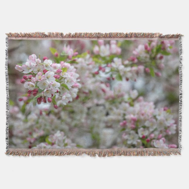 Couverture Pommier décoratif (Devant)
