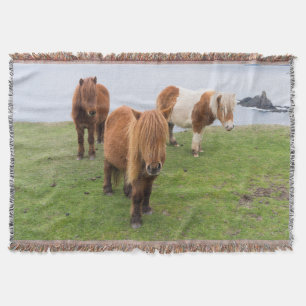 Couverture Poney Shetland dans un pâturage près de hautes fal
