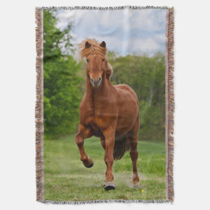 Couverture Pony islandais dirige Tölt Funny Photo Horse Lover