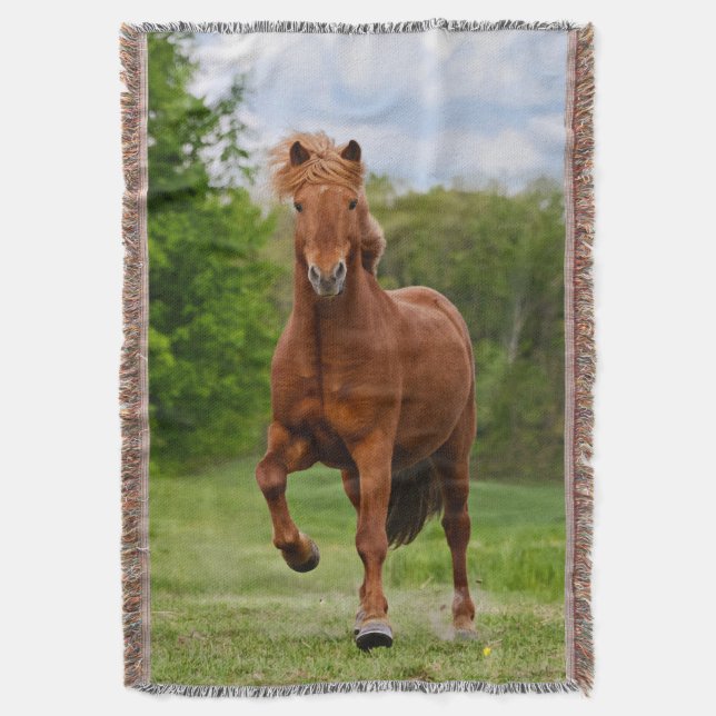 Couverture Pony islandais dirige Tölt Funny Photo Horse Lover (devant Vertical)