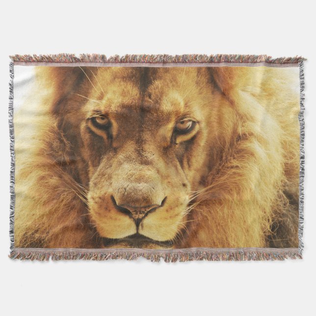 Couverture Portrait de lion africain mâle. (Devant)
