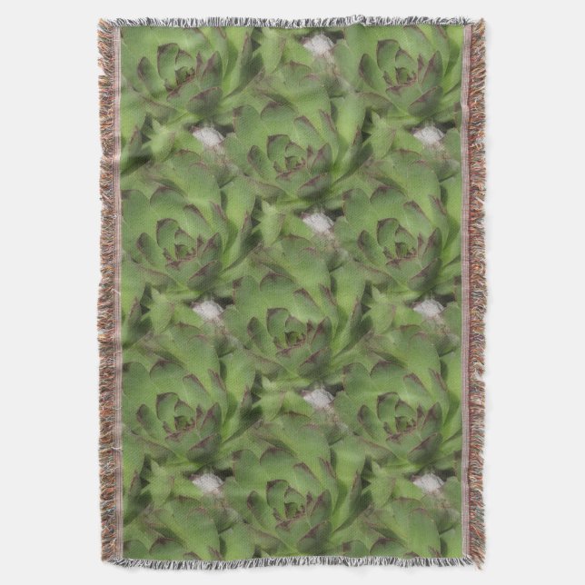 Couverture Poules et poulets Succulents Motif de la nature (devant Vertical)