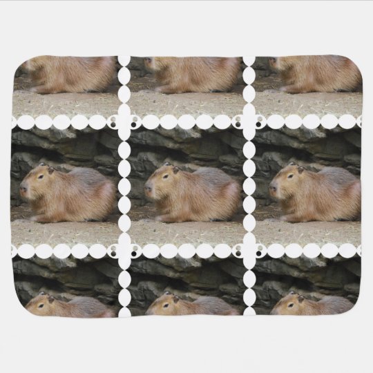 Couverture Pour Bebe Capybara Zazzle Fr Couverture Pour Bebe Capybara Zazzle Fr