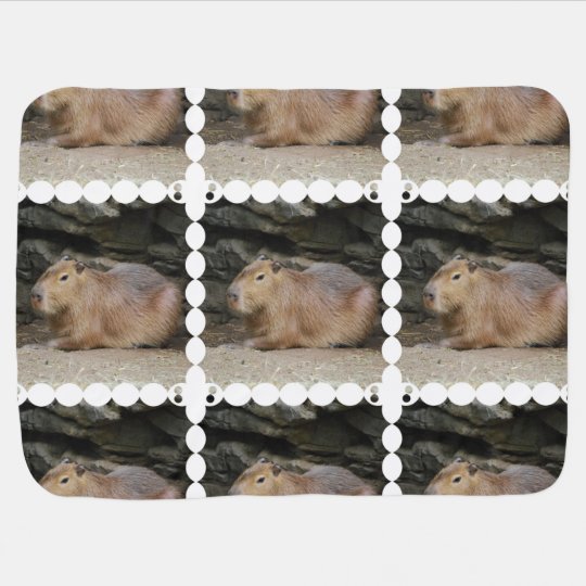 Couverture Pour Bebe Capybara Zazzle Fr