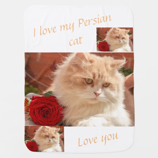 Couverture Pour Bebe Chat Persan Zazzle Fr