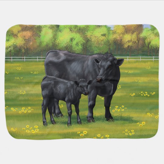 Couverture Pour Bebe La Vache Noire Angus Et Le Veau Mou Dans Les Patur Zazzle Fr