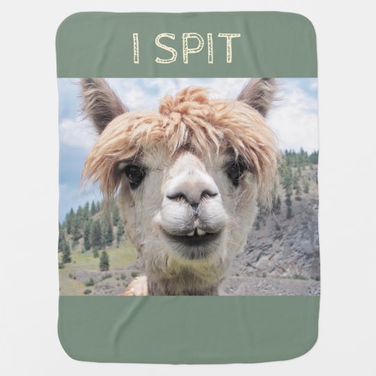 Couverture Pour Bebe Lama Drole D Alpaga Que Je Crache Zazzle Fr Couverture Pour Bebe Lama Drole D Alpaga Que Je Crache Zazzle Fr