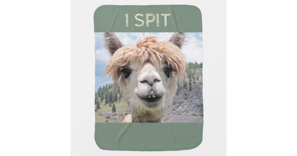 Couverture Pour Bebe Lama Drole D Alpaga Que Je Crache Zazzle Fr Couverture Pour Bebe Lama Drole D Alpaga Que Je Crache Zazzle Fr