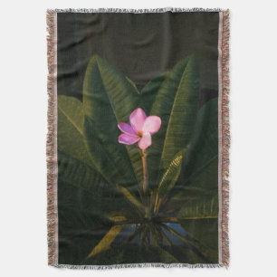 Couverture Première floraison, Plumeria