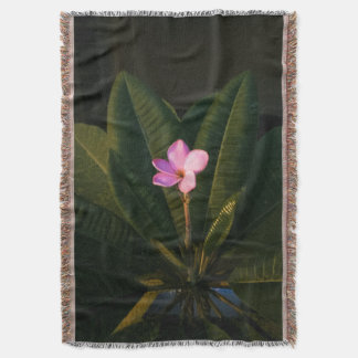 Couverture Première floraison, Plumeria